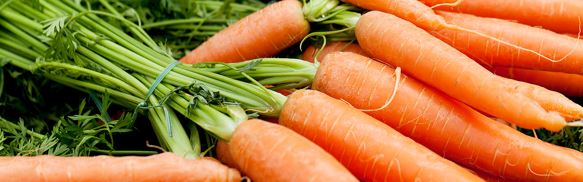 Carrots