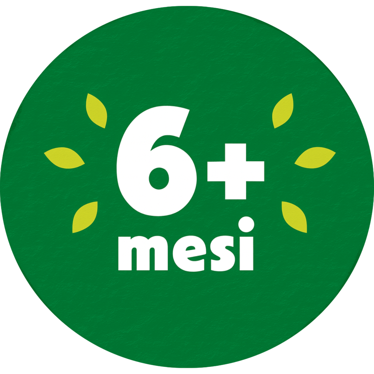 6+ NO BG