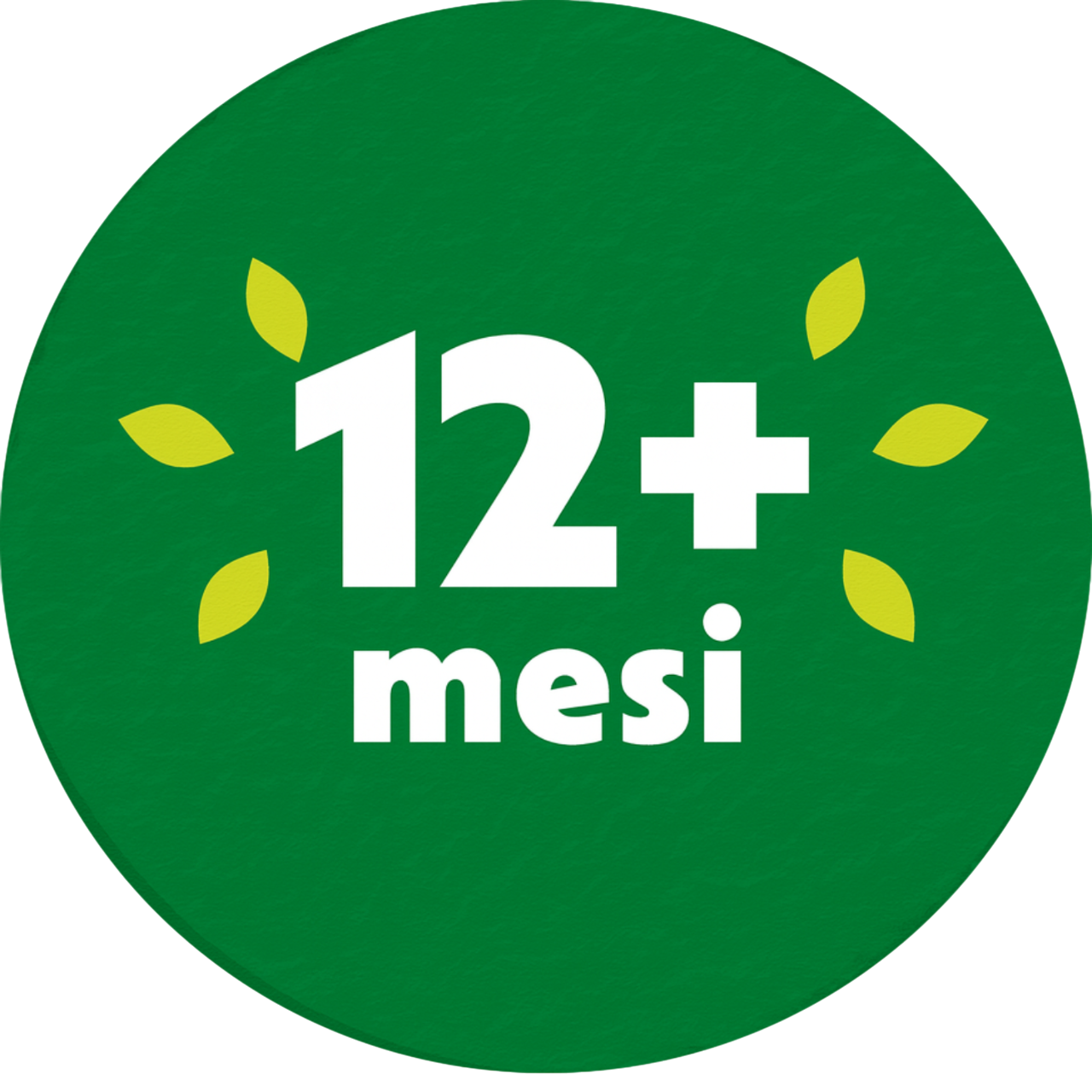 12+ NO BG