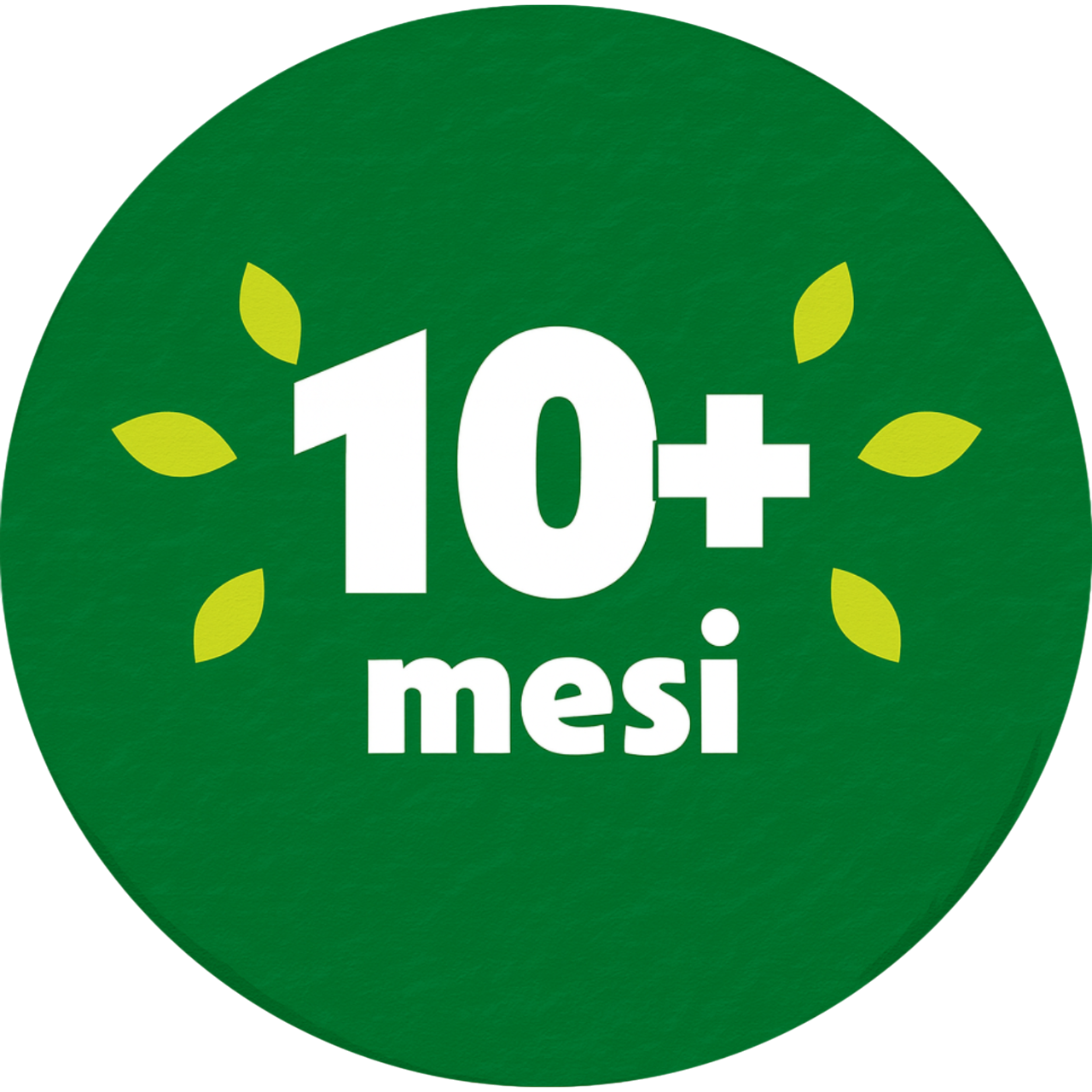 10+ NO BG